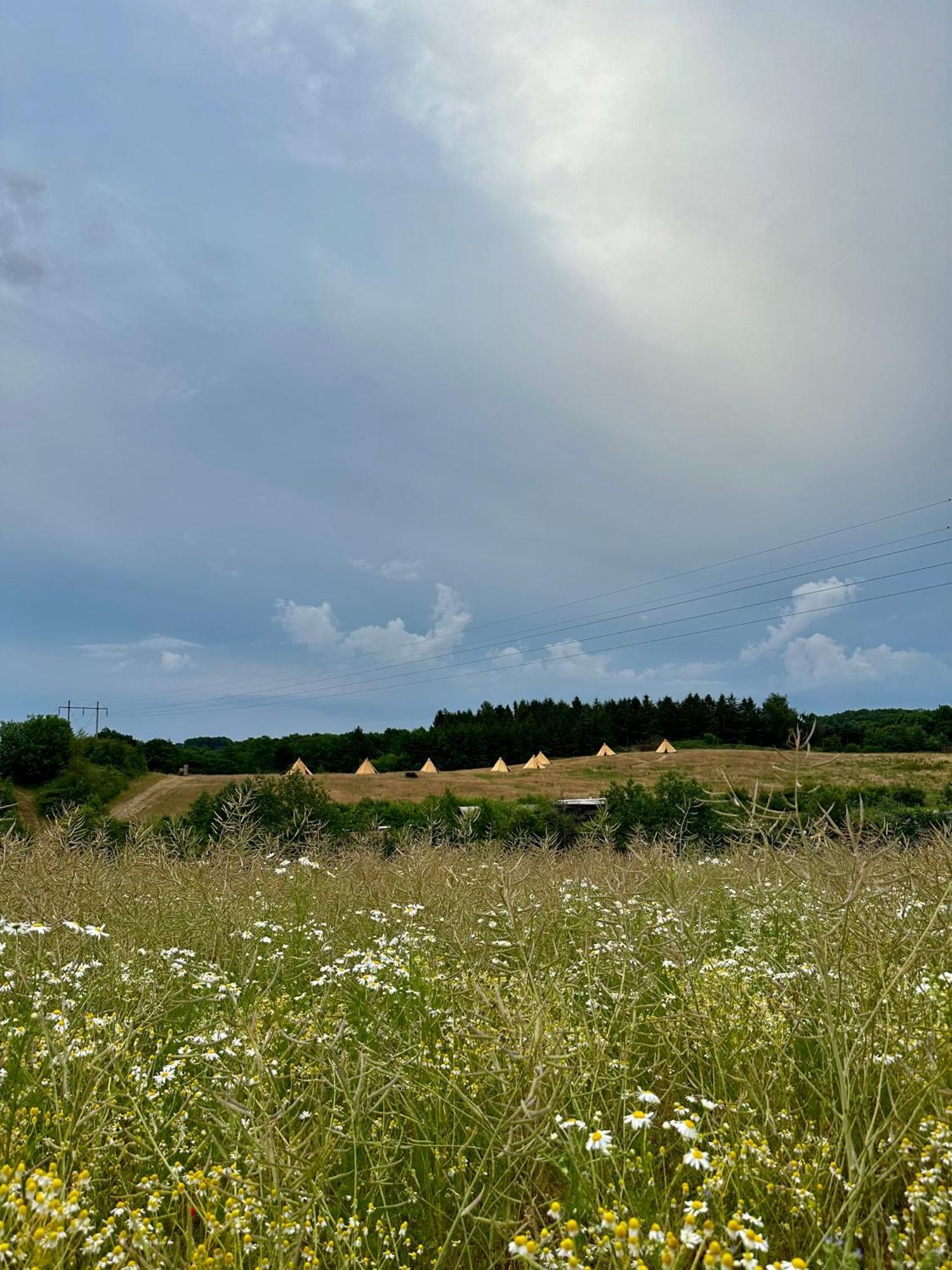 Krusmolle Glamping Hotel Aabenraa Buitenkant foto